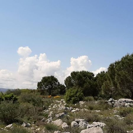 Maison De Village 60M2 Pratique Et Confortable La Palme Εξωτερικό φωτογραφία