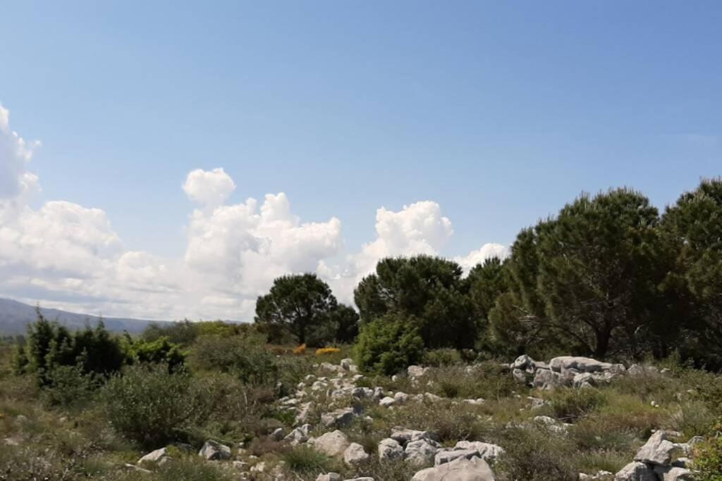 Maison De Village 60M2 Pratique Et Confortable La Palme Εξωτερικό φωτογραφία